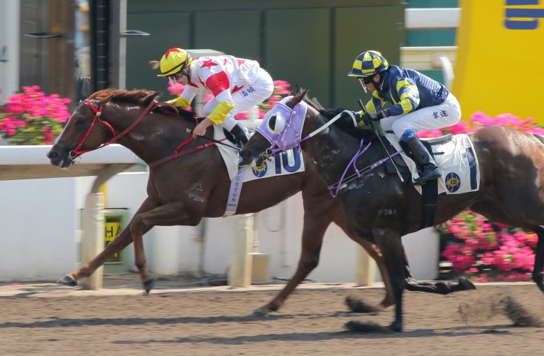 Champion jockey Zac Purton gets the programme off to a bright start with victory aboard Mighty Gains. Photos: Kenneth Chan
