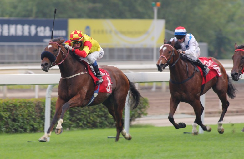 Overseas Hkir Markets Show The Odds Are In Favour Of The Bookies Hk Racing South China Morning Post