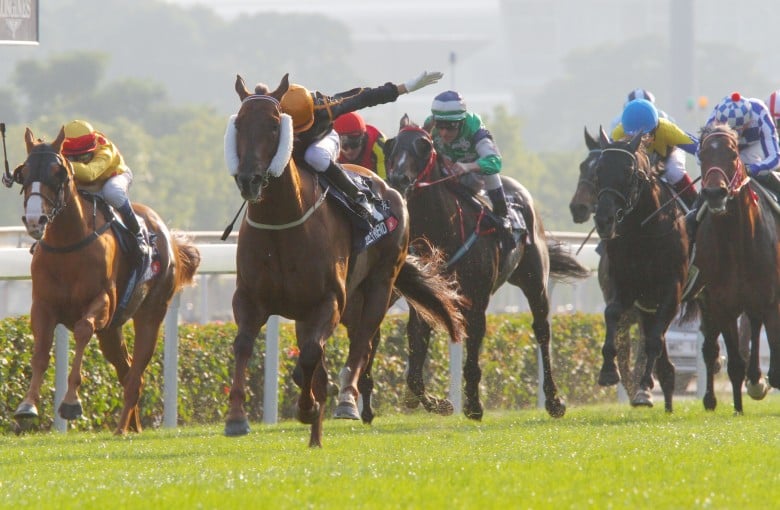 Hong Kong Mile winner Able Friend was the star attraction at Tuesday morning's barrier trial session at Sha Tin. Photo: Kenneth Chan