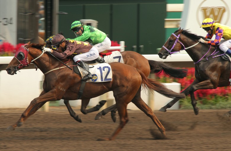 Sure Peace just gets the better of Elegance Klammer to give John Moore his first win for the season. Photo: Kenneth Chan