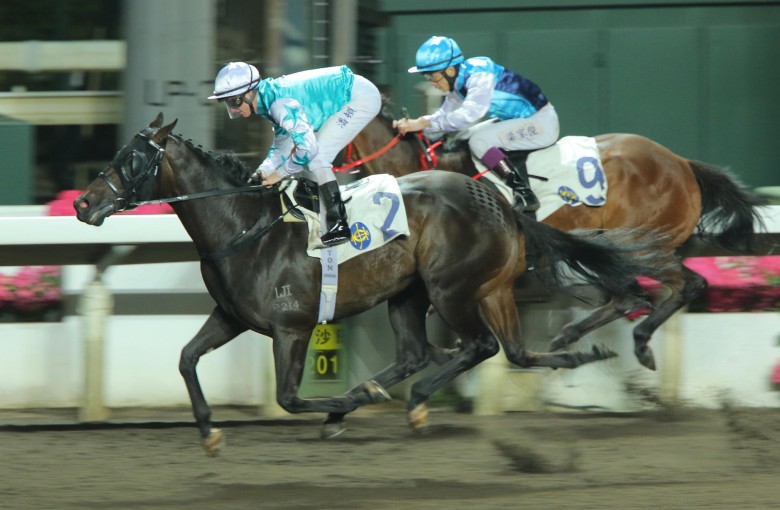 Hit The Bid records his one and only win under Zac Purton at a night all-weather meeting in March. Purton is in Japan to ride Gun Pit today, with Joao Moreira taking the mount. Photos: Kenneth Chan