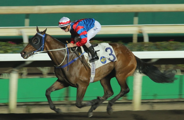Race 6, Gun Pit, ridden by Zac Purton, won the class 1 over 1650m(all weather track) at Sha Tin on 18Nov15.