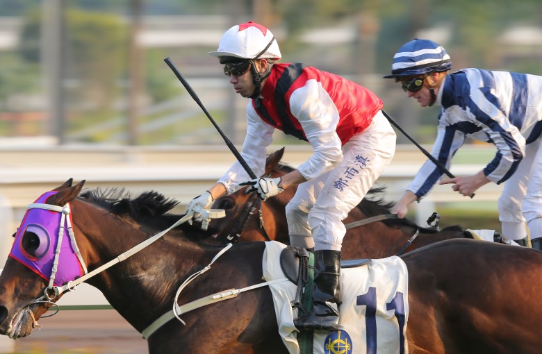 Race 9, Multivictory, ridden by Howard Cheng, won the Chinese Club Challenge Cup(HK Group 3, 1400m) at Sha Tin on 01Jan16.