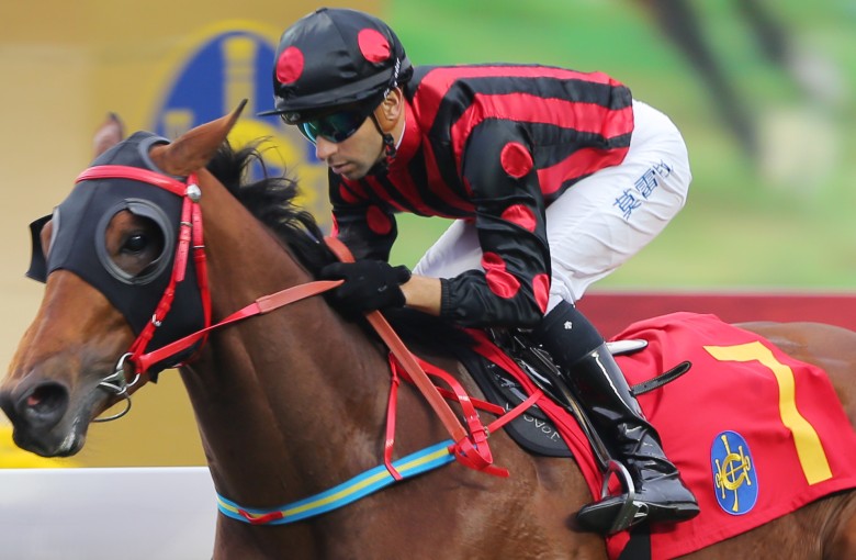Race 8, Thewizardofoz, ridden by Joao Moreira, won the Chinese Year Cup(class 1, 1400m) at Sha Tin on 10Feb16.