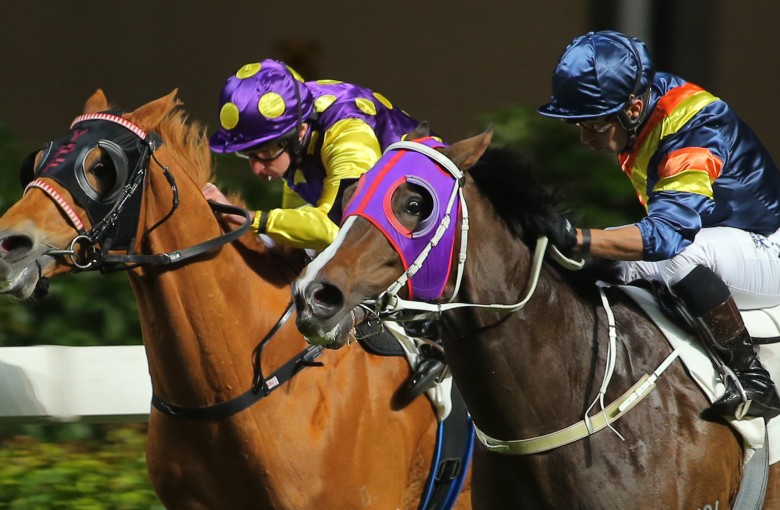 Po Ching Treasure (left) was just nosed out by California Cherish last start, but meets that rival three pounds better on Wednesday night. Photo: Kenneth Chan