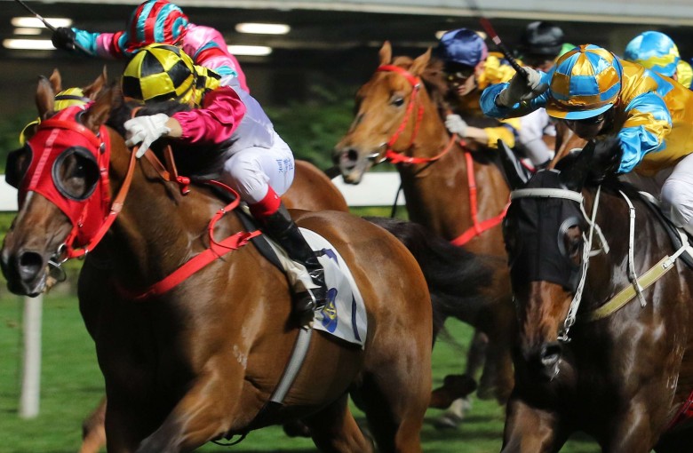 Lucky Profit looks set to win again in the opening leg of the Triple Trio, with Mr Kool his main danger. Photo: Kenneth Chan