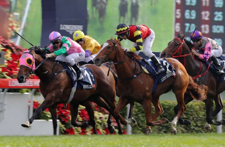 Why Asian Horses Won T Be Scaling The Elite But Un Australian