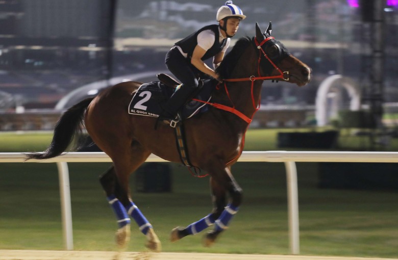 Amazing Kids works on the dirt track at Meydan on Friday morning. Photos: Kenneth Chan
