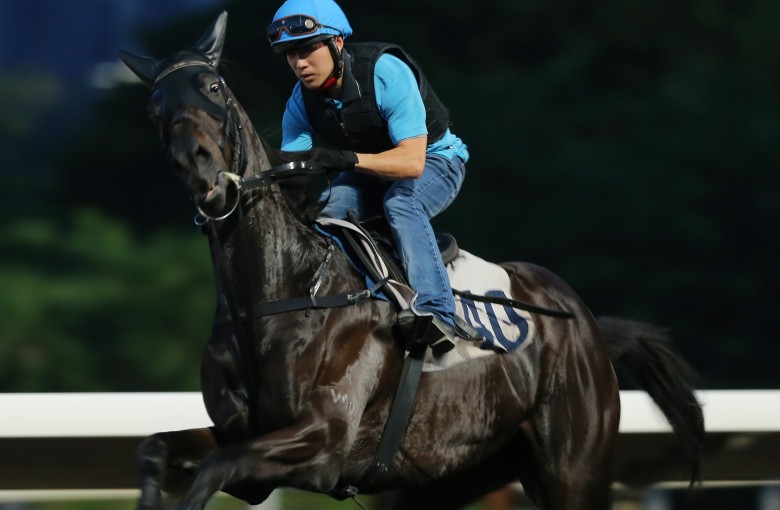 World Record gallops at trackwork. Photo: Kenneth Chan