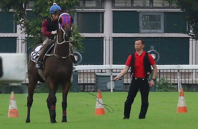 Assistant trainer Cody Mo uses the “buggy” whip to try to coax Pakistan Star during Monday’s trial. Photos: Kenneth Chan