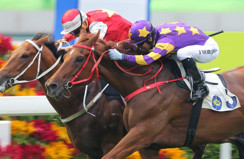 Western Express (right) edges out Wah May Friend on the line in the Class One Panasonic Cup on Saturday. Photos: Kenneth Chan