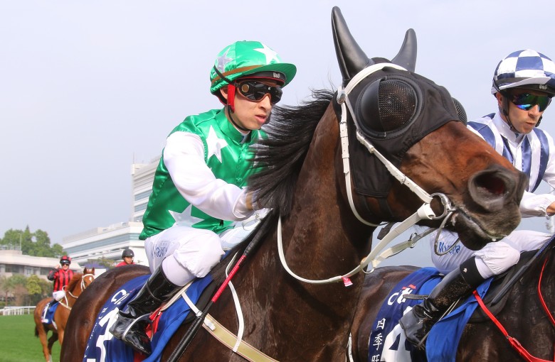 Pakistan Star returns to scale after racing in the Group One Citi Hong Kong Gold Cup on Sunday. Photos: Kenneth Chan