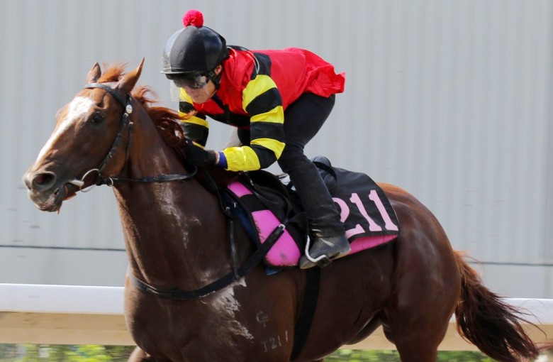 Full Steam Ahead Francis Lui Confirms Lucky Bubbles Trip To Japan Hk Racing South China Morning Post
