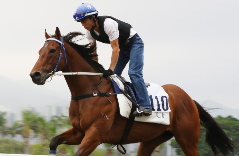Joyful Trinity trots on the Sha Tin all-weather track. Photos: Kenneth Chan