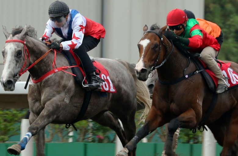 Big Party (left) clears out during a barrier trial last month after getting beaten as an odds-on favourite. Photos: Kenneth Chan