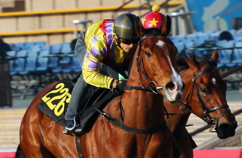 Alexis Badel rides Winner Supreme in a barrier trial. Photos: Kenneth Chan