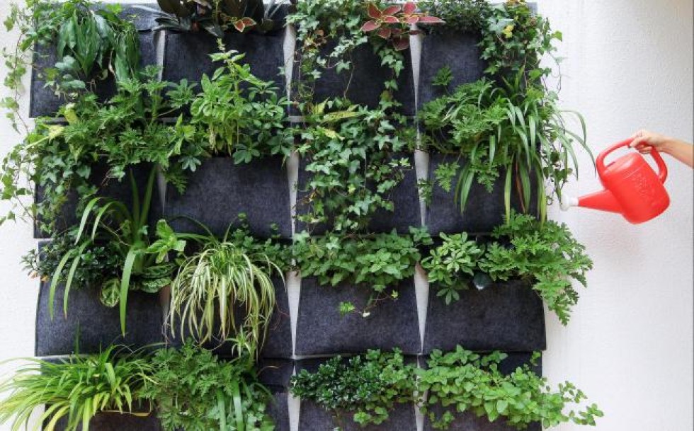 Indoor vertical gardens a growing attraction for Hongkongers | South ...