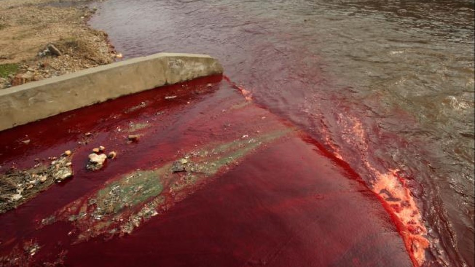 Textile industry must lead in clean-up of polluting ... Textile industry must lead in clean-up of polluting ...