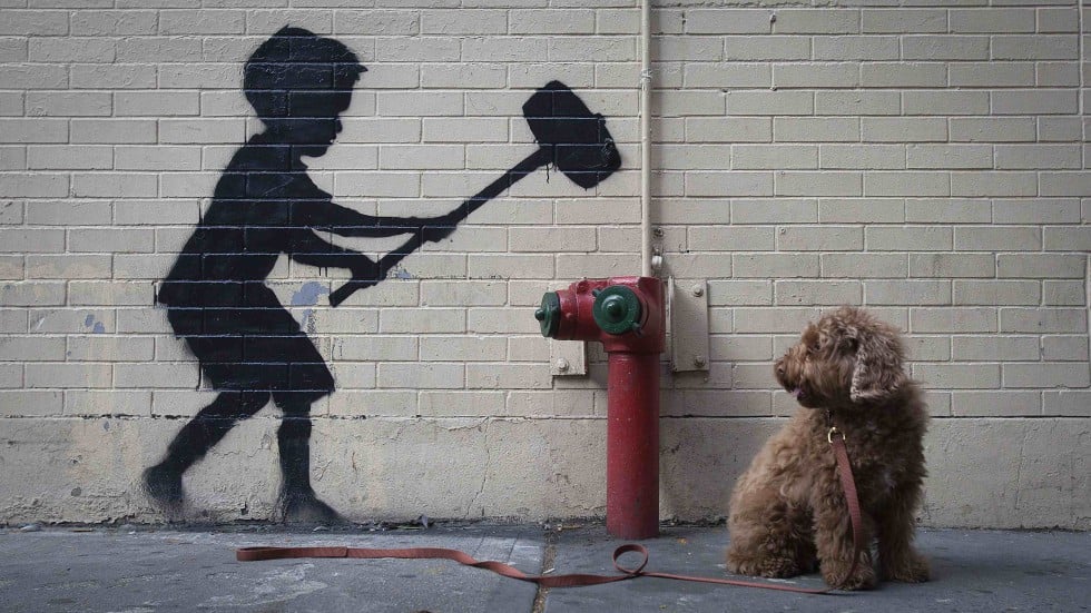 Banksy In New York: The Elusive Artist's Works | South China Morning Post