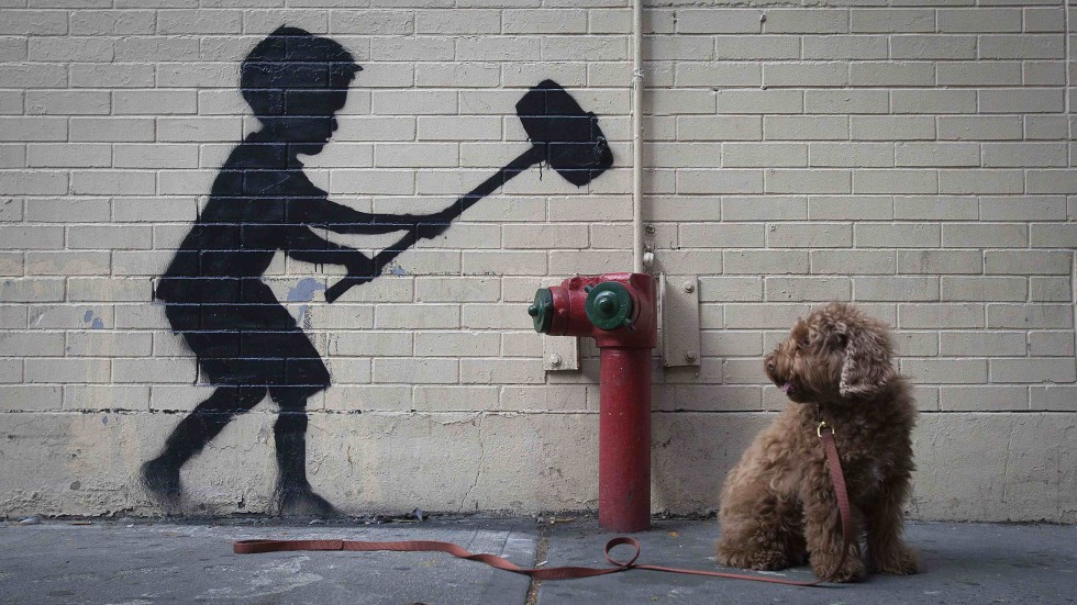 Banksy in New York The elusive artist's works South China Morning Post