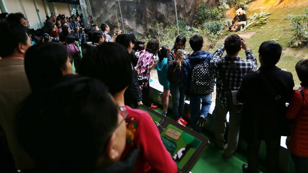 Waiting times at Hong Kong theme parks rise as tourism increases