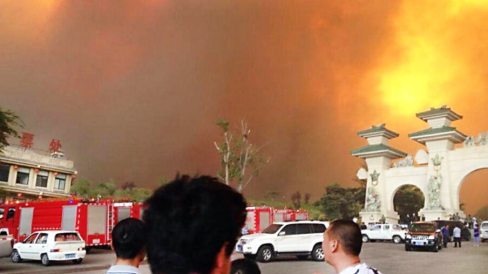 2021 Fire Of Teak Flame Of Chinar 2021 Fire Of Teak Flame Of Chinar