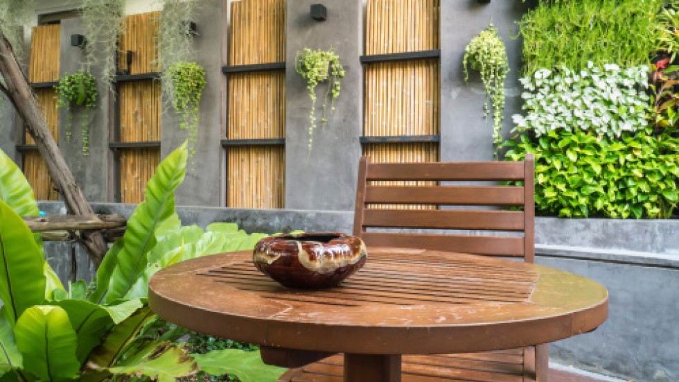 Life Givers Why Houseplants In Hong Kong Can Be Used To Combat 0share