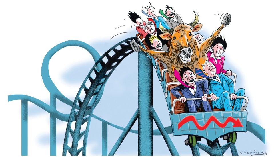 Image result for wild ride cartoon