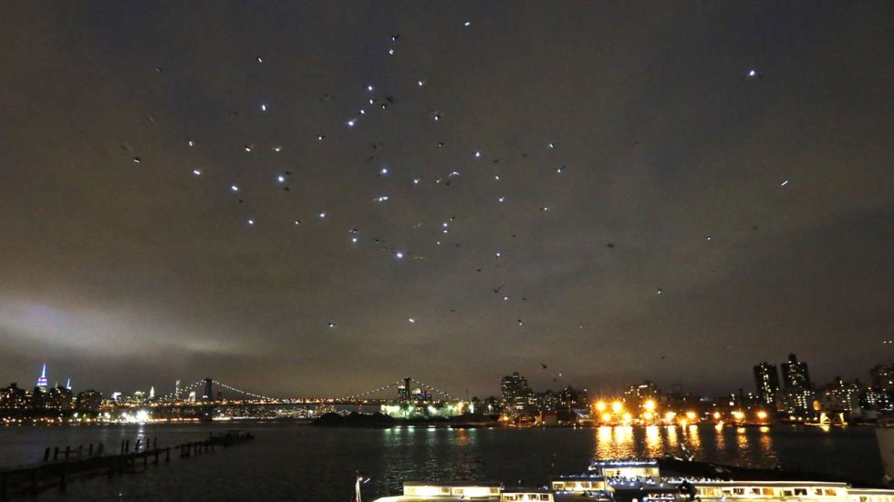 thousands of led tagged pigeons light up the new york sky south