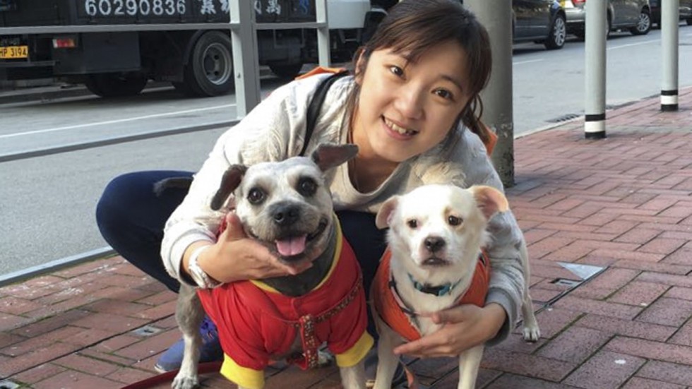 Why there is a rift between Hong Kong vets and pet owners | South China