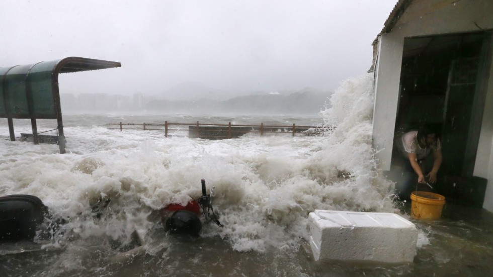 Typhoon Hato could cause HK$8 billion in losses after No 10 signal ...