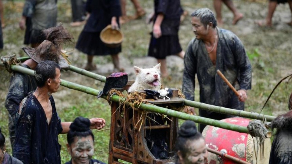 Ancient dog festival celebrates legend of heavensent canine in China