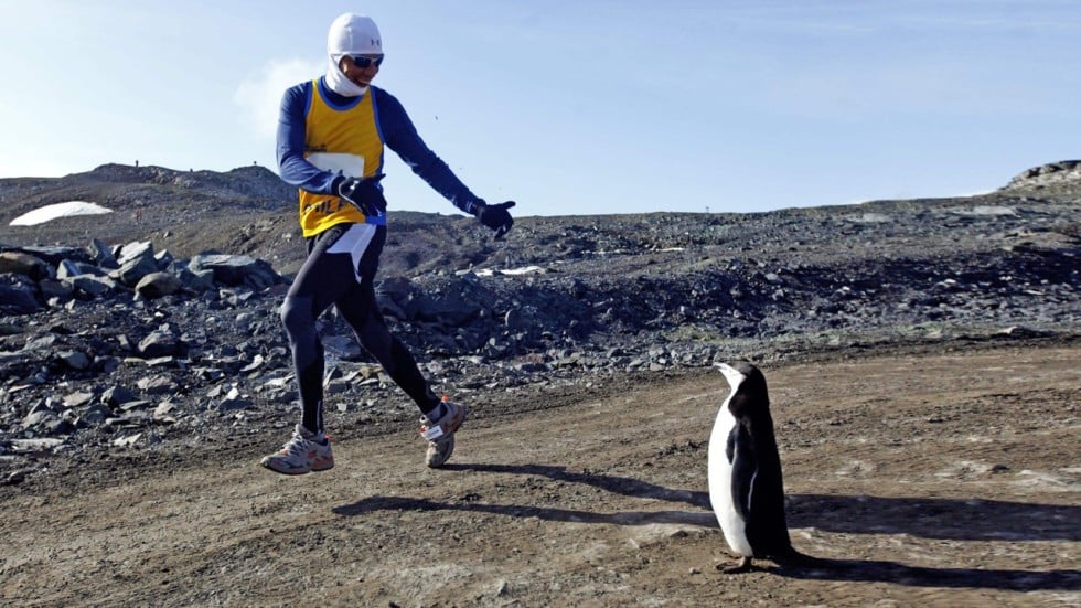 Watch The Great Wall Online Free 2016