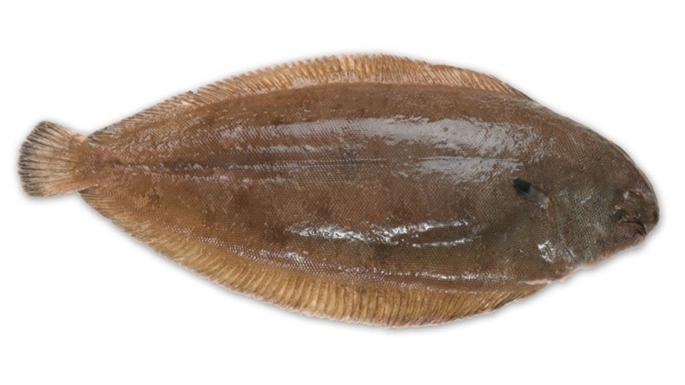 Sole survivor UK paramedics save man after fish jumps down his throat