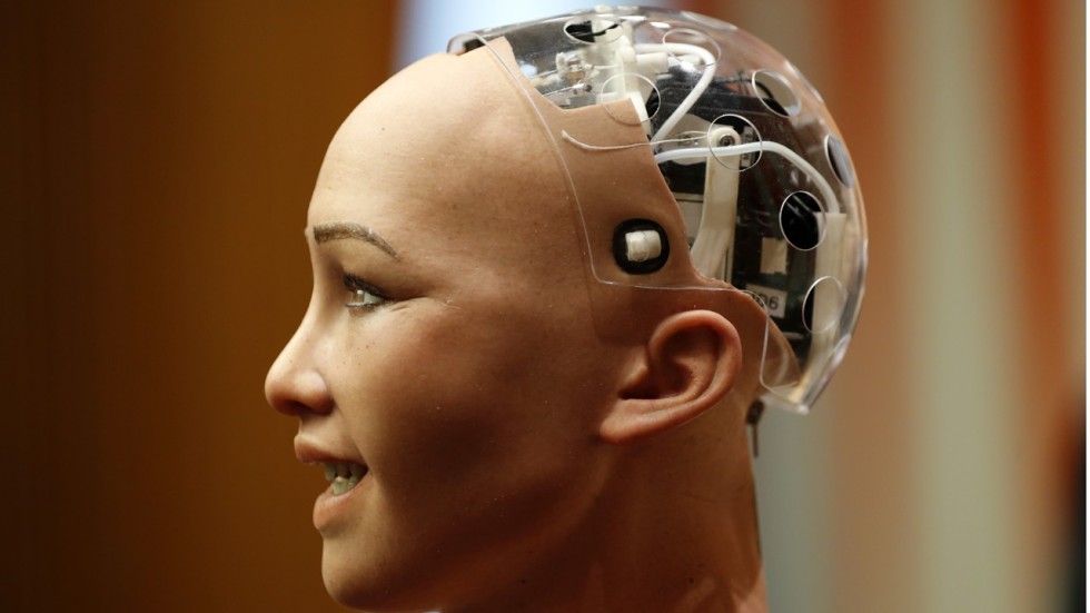 Hanson robotics crunchbase online