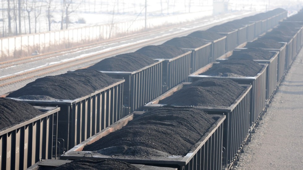 Coal bites back in China amid supply worry as pause seen in switch to