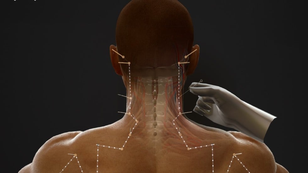 Virtual reality helps Chinese medicine students learn…