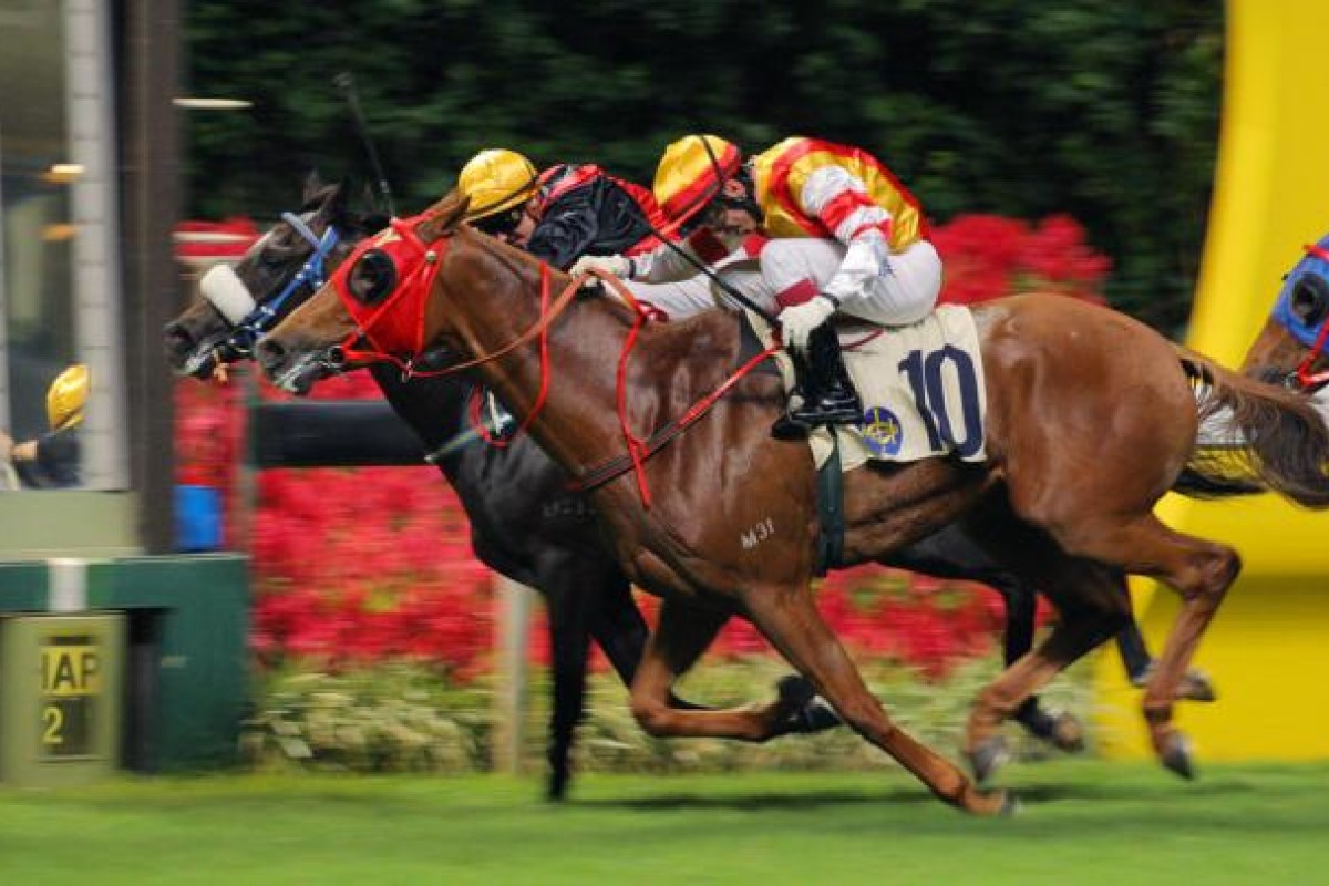 Treasure Glitter looks the one to beat in a weak opening leg.