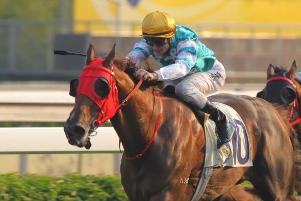 Mr Ginger can double in the middle leg at Sha Tin on Sunday.