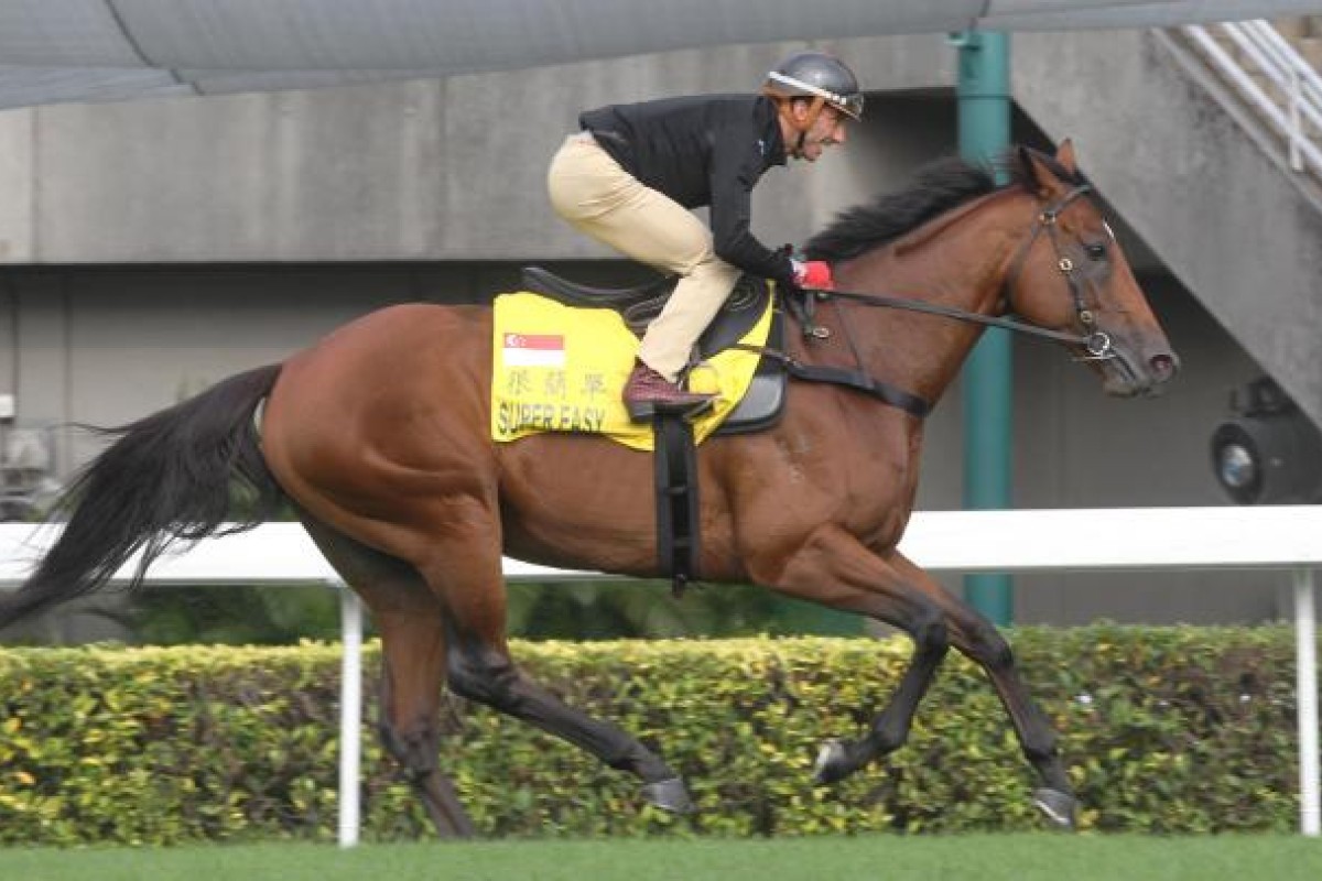 Super Easy gets a good look at Sha Tin. Photo: Kenneth Chan