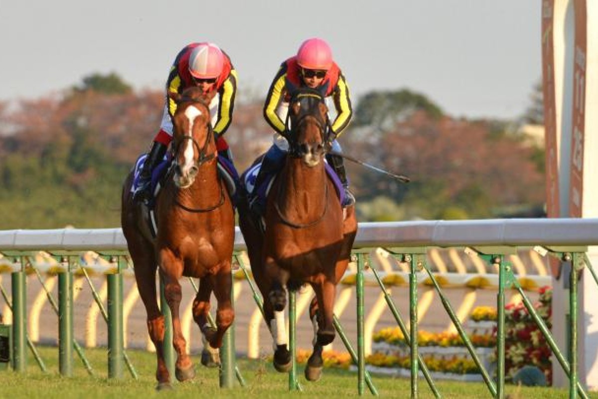 Gentildonna (right) beats Orfevre in the Japan Cup. Photo: AFP