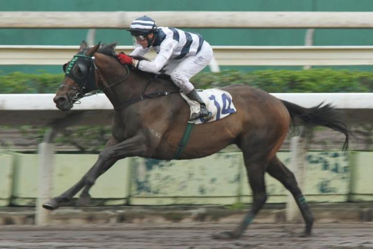 New Greenfield had never finished in the first five in 10 starts, but was backed into 4-1 favourite and romped home thanks to drawing gate one at Sha Tin on Sunday.