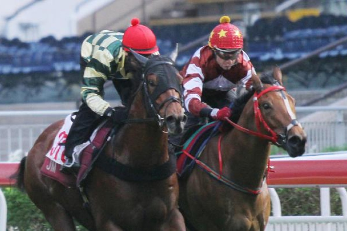 John Moore's Rewarding Hero (left) and John Size's Sight Lover have shown their worth in recent barrier trials. Photo: Kenneth Chan