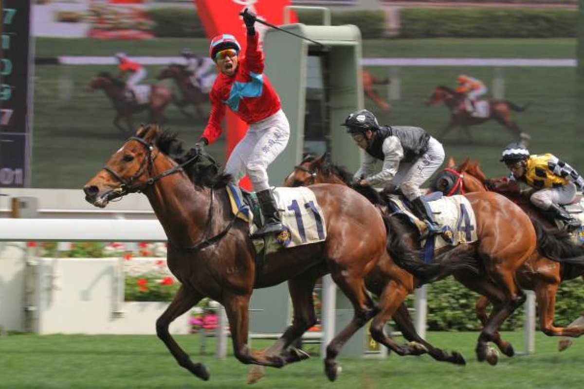 Panther Run (left) will relish a return to his winning distance of 1,800m.