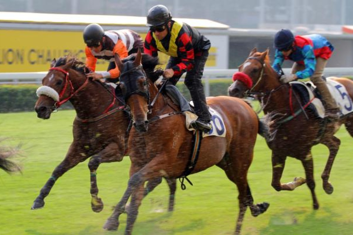 Andreas Suborics riding Rain Of Thunder (middle) and Richard Fourie on Ever Invincible (left). They are the only two jockeys who started the season and were not licensed for all of it. Photo: Kenneth Chan