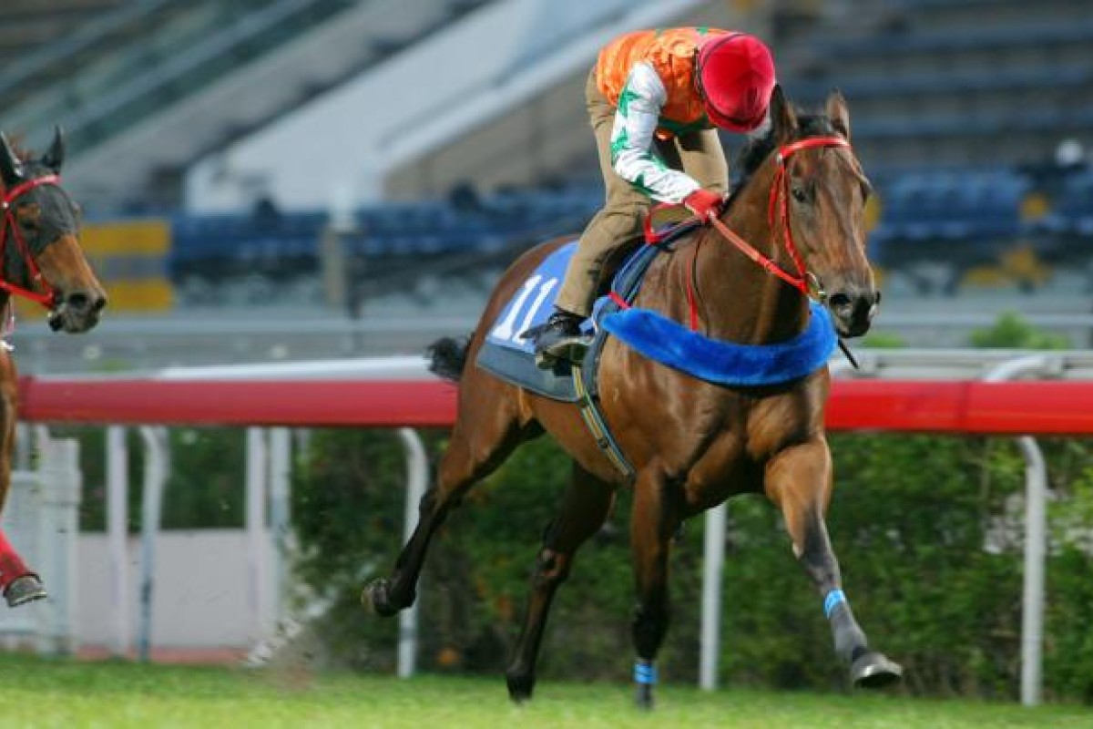 Eagle Regiment (Olivier Doleuze) won the barrier trial batch 1 over 1,000 metres at Sha Tin. Photo: Kenneth Chan