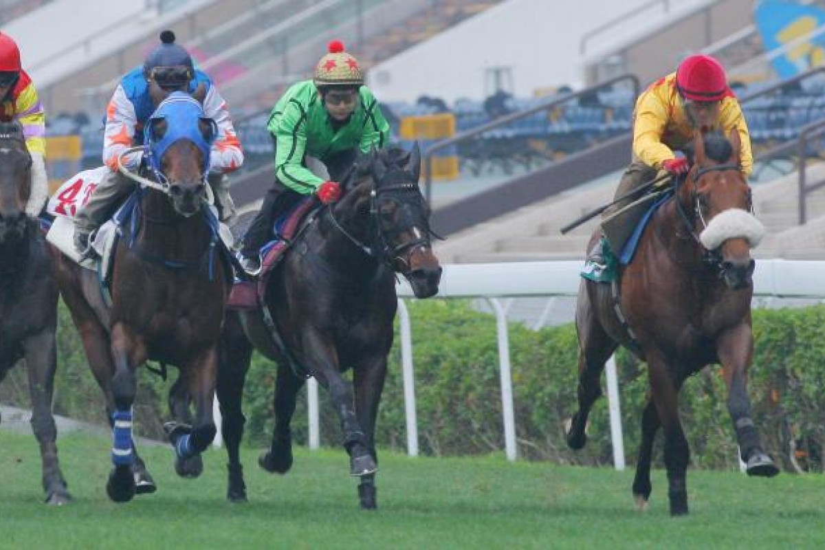 Akeed Mofeed (right) is one of trainer Richard Gibson's two horses in Sunday's HK$6 million Group One Classic Cup. Photo: Kenneth Chan