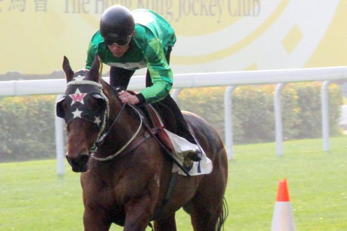 Young Happy ridden by Richard Fourie. Photo: Kenneth Chan