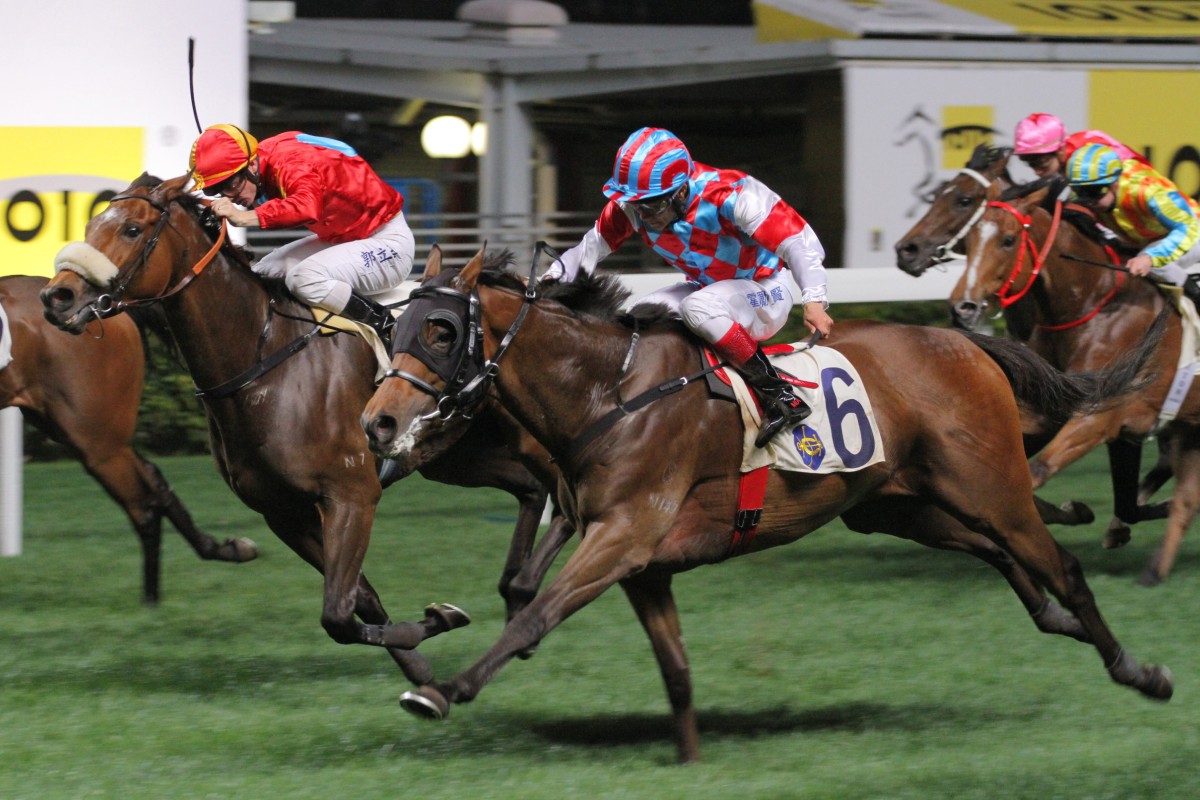 In-form Jolly Victor is first reserve in front of a number of higher-rated horses. Photo: Kenneth Chan