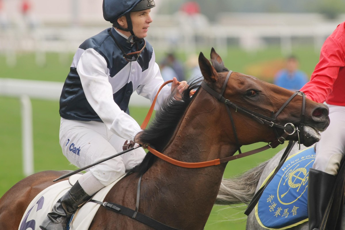 Flying Ibis (Tim Clark) will appreciate the step up in distance.